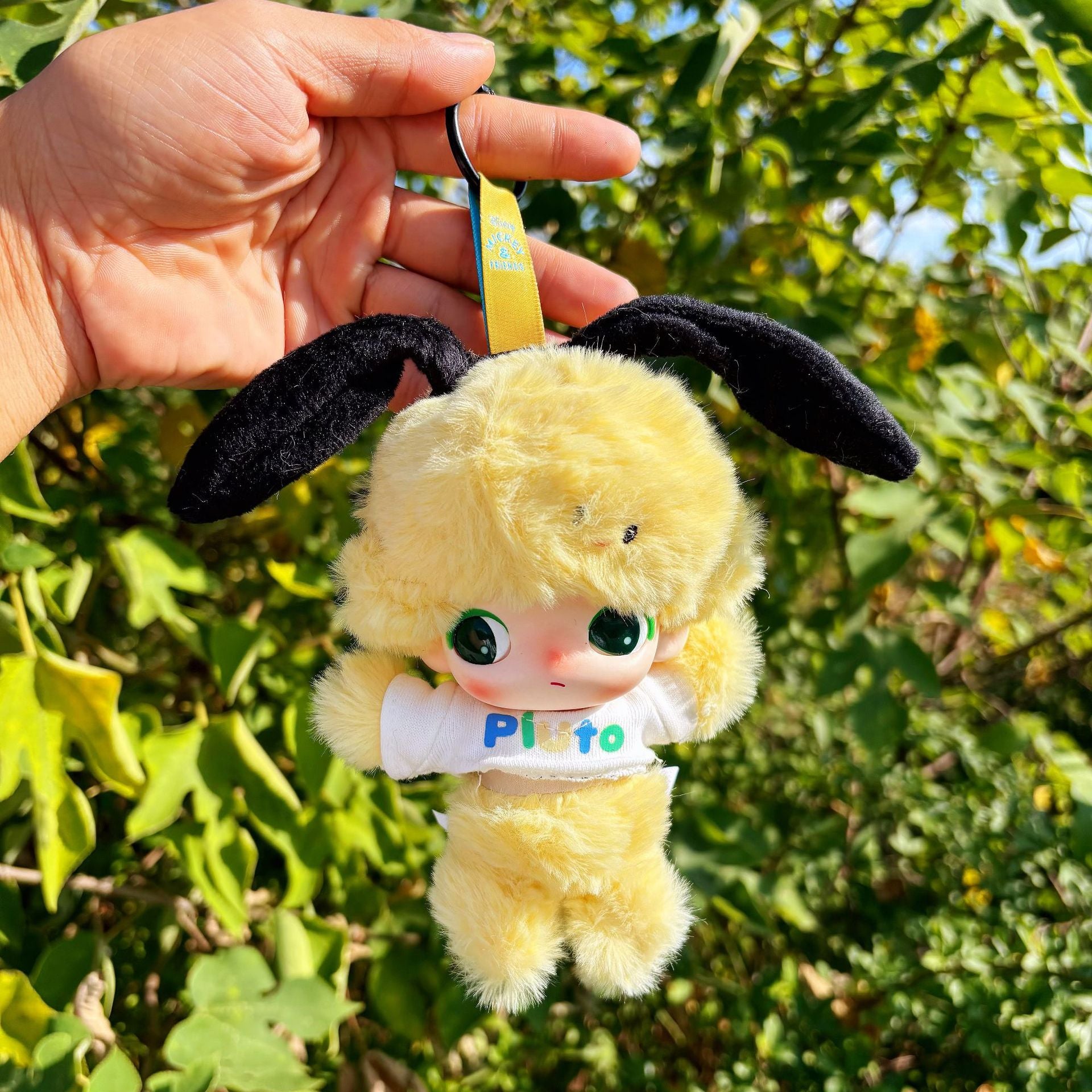 DIMOMO